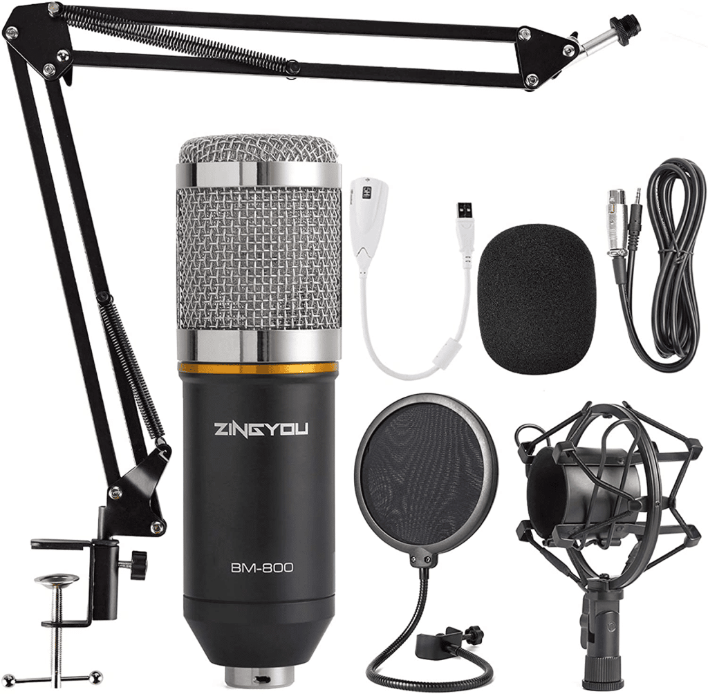 Best Microphone For Singing